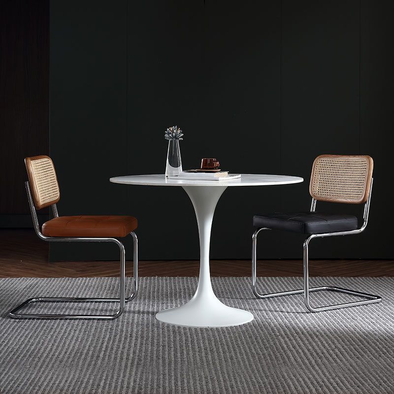 Stone Top Dining Table Modern Round Dining Table with Pedestal Base Clearhalo 'Dining Tables & Seating' 'Dining Tables' 'dining_table' 'furn' 'furn_dining_table' 'Furniture' 'furniture_dining_table' 'Kitchen & Dining Furniture' 'kitchen' 'kitchen_dining_table' 1200x1200_39684553-ab8e-49da-ab85-e97200363134