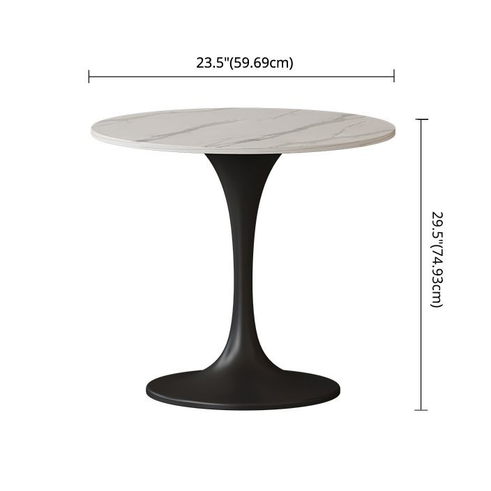 Modern Sintered Stone Dinette Set with Round Shape Table Dining Room Furniture for Dining Room Clearhalo 'Dining Room Sets' 'Dining Tables & Seating' 'dining_room_set' 'furn' 'furn_dining_room_set' 'Furniture' 'furniture_dining_room_set' 'Kitchen & Dining Furniture' 'kitchen&dining_furn' 'kitchen' 1200x1200_39e00754-38f8-450e-a863-df33d6fc389f