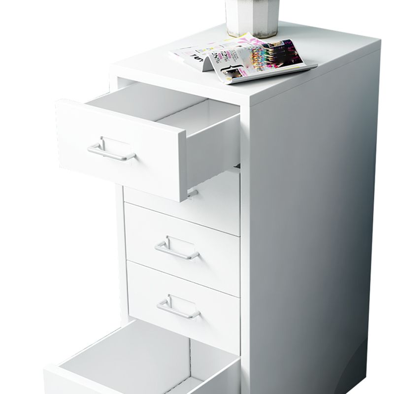 Traditional Steel Cabinet with Drawers and Pedestal Vertical Filing Cabinet Clearhalo 'Filing Cabinets' 'filling_cabinets' 'furn' 'furn_filling_cabinets' 'Furniture' 'Office Furniture' 1200x1200_3a0d5f1a-d938-4b43-87e4-83464455e424