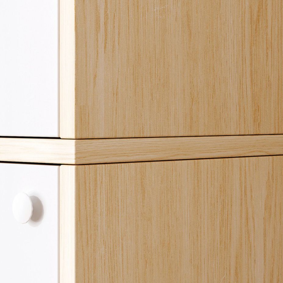 Modern Style Standard Cabinet Rectangle Storage Cabinet for Home Clearhalo 'Cabinets & Chests' 'cabinets_chests' 'furn' 'furn_cabinets_chests' 'Furniture' 'Living Room Furniture' 1200x1200_3a9538fa-239a-42e0-b461-a7009bb369f6