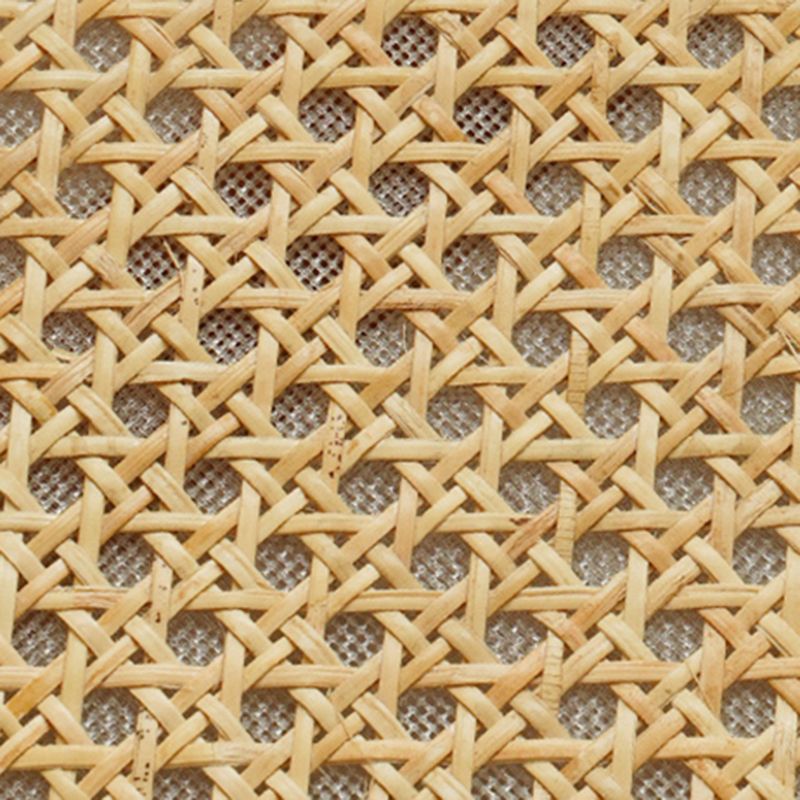 Traditional Style Dining Chair Solid Wood Cane Back Arm Chair for Home Clearhalo 'Dining Chairs' 'Dining Tables & Seating' 'dining_chair' 'furn' 'furn_dining_chair' 'Furniture' 'Kitchen & Dining Furniture' 1200x1200_3a96d283-66bb-43e8-addb-7a6c9a36b077