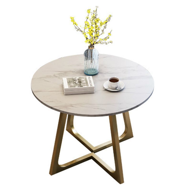 Modern Style Sintered Stone Dining Table Round Table with Double Pedestal Base Clearhalo ' dining_table' 'Dining Tables & Seating' 'Dining Tables' 'furn' 'furn_dining_table' 'Furniture' 'furniture_dining_table' 'Kitchen & Dining Furniture' 'kitchen&dining_furn' 'kitchen' 'kitchen_dining_table' 1200x1200_3acdc020-ccfb-48b9-bbe6-e55cf5a4e9d9