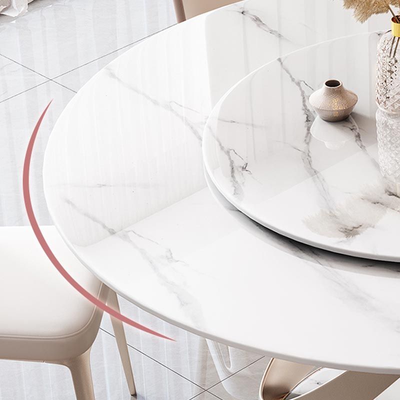 Round Sintered Stone Dining Table Modern Turntable Furniture with Pedestal Base for Home Clearhalo 'Dining Tables & Seating' 'Dining Tables' 'dining_table' 'furn' 'furn_dining_table' 'Furniture' 'Kitchen & Dining Furniture' 1200x1200_3af5c9f5-c93c-4db8-92f4-e6f905528f77