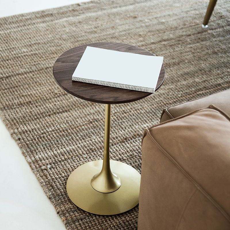 Scandinavian Round Solid Wood Top Side Table Metal Pedestal End Table Clearhalo 'Coffee & Accent Tables' 'End & Side Tables' 'end_side_tables' 'furn' 'furn_end_side_tables' 'Furniture' 'Living Room Furniture' 1200x1200_3b3dcfe5-6744-4d96-95eb-d88c4514a538