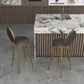 Glam Counter Bar Stool Backrest Leather Bar Stool with Footrest, Iron Base Clearhalo 'Bar Furniture' 'Bar Stools' 'bar_stools' 'furn' 'furn_bar_stools' 'furniture_bar_stools' 'Kitchen & Dining Furniture' 'kitchen&dining_furn' 'kitchen' 'kitchen_furn' Furniture' 1200x1200_3b5c4030-d9d5-4c87-bc66-bfe9162b1c4a