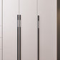 Hinged Wardrobe Closet with Drawer Contemporary Storage Cabinet