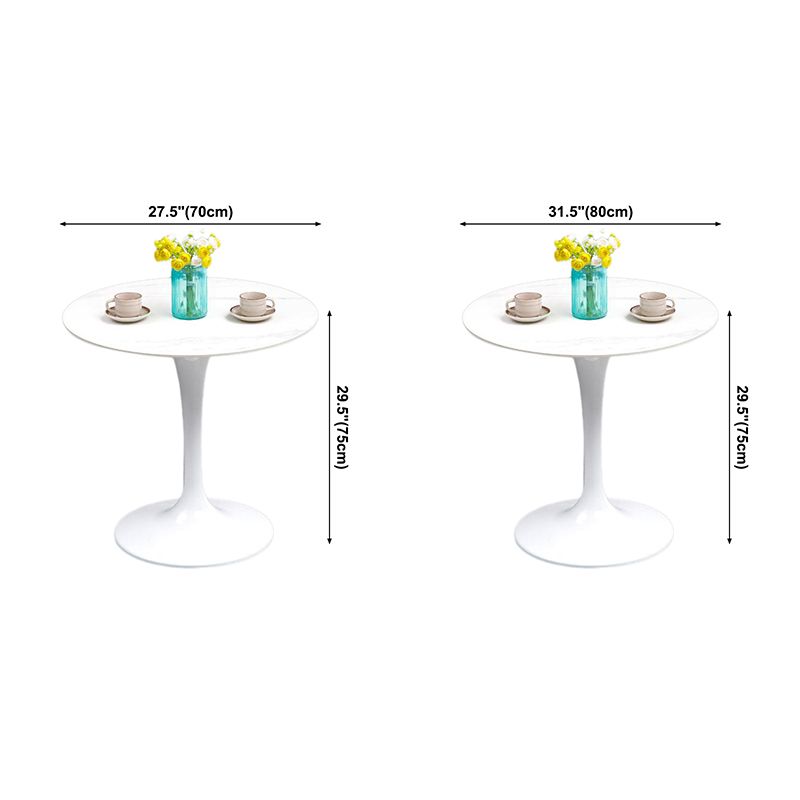 Modern Style Sintered Stone Scratch Resistant Dining Table Single Pedestal Base Round Table for Home Clearhalo ' dining_table' 'Dining Tables & Seating' 'Dining Tables' 'furn' 'furn_dining_table' 'Furniture' 'furniture_dining_table' 'Kitchen & Dining Furniture' 'kitchen&dining_furn' 'kitchen' 'kitchen_dining_table' 1200x1200_3b7e7b8b-3224-4f63-9038-c5a249281c33