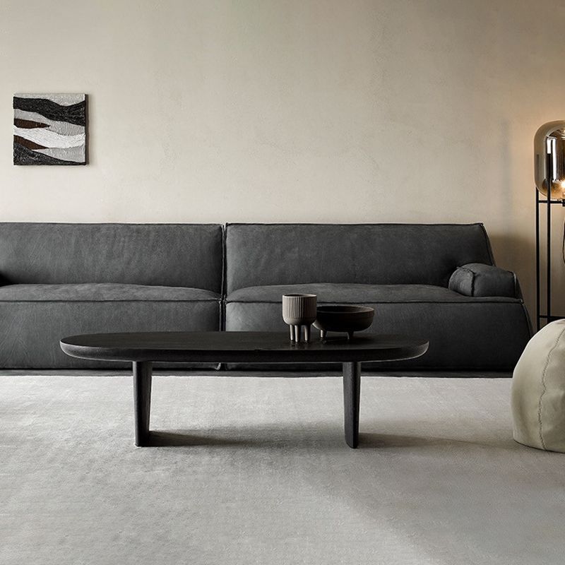 North European Oval Coffee Table Wood Cocktail Table in Black Clearhalo 'Coffee & Accent Tables' 'Coffee Tables' 'coffee_tables' 'furn' 'furn_coffee_tables' 'Furniture' 'Living Room Furniture' 1200x1200_3ba8f1f9-8cc8-448a-b758-9df4f1b18379