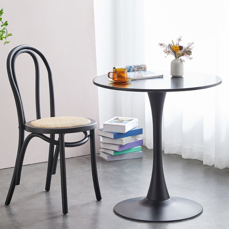 Modern Style Beech Wood Chairs Windsor Back Side Kitchen Dining Chair Set Clearhalo ' kitchen&dining_furn' 'Dining Chairs' 'Dining Tables & Seating' 'dining_chair' 'furn' 'furn_dining_chair' 'Furniture' 'furniture_dining_chair' 'Kitchen & Dining Furniture' 'kitchen' 1200x1200_3bf17a97-a19b-4c9e-bbd1-f63ae503ba9c