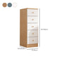 Contemporary Wooden Accent Cabinet Bar Pulls Handle Design Storage Cabinet
