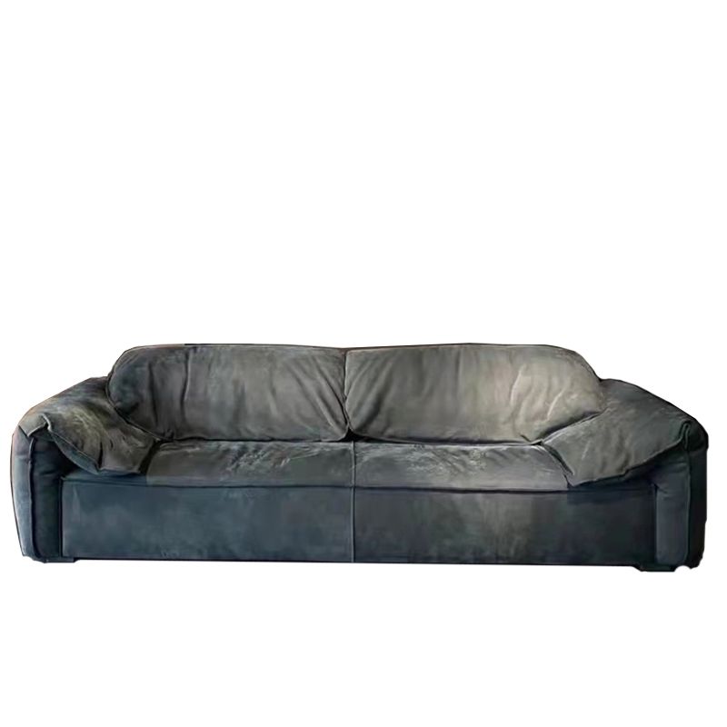 Modern Pillow Top Arm Standard Sofa Impermeable Sofa for Living Room, Apartment Clearhalo 'furn' 'furn_sofas' 'Furniture' 'furniture_sofas' 'kitchen' 'kitchen_sofas' 'Living Room Furniture' 'Sofa' 'sofas' 1200x1200_3c7c8f8b-2e18-49b3-a647-5766d1d0434e