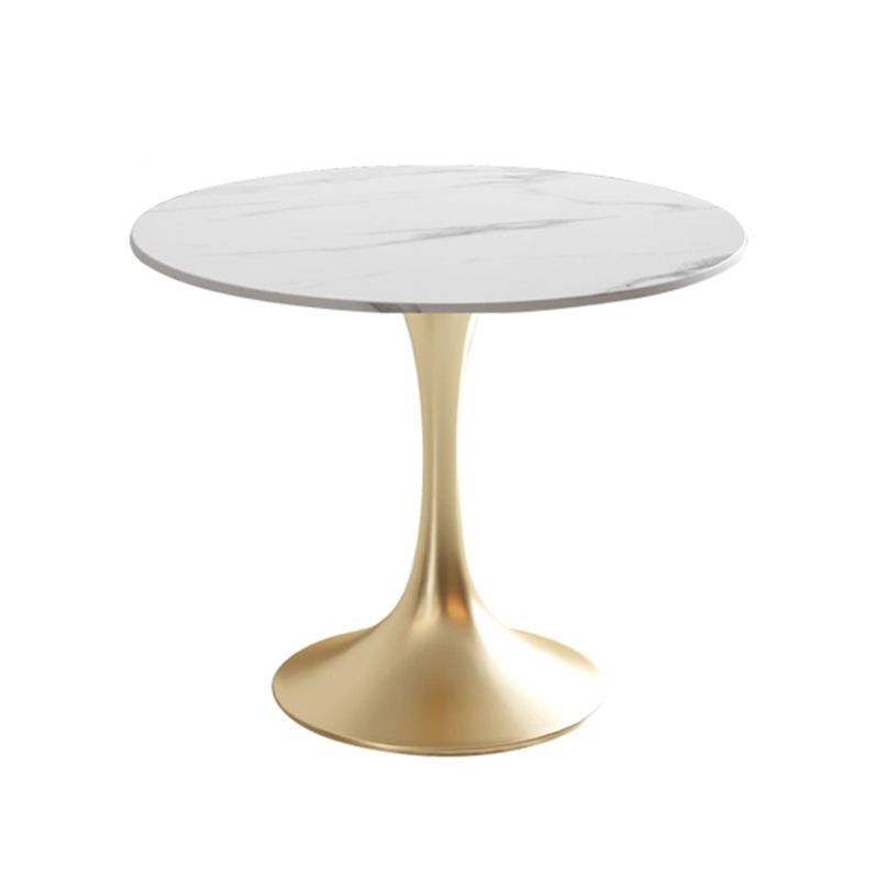 Modern Style Round Dining Table Sintered Stone Table with Tulip Base Clearhalo 'Dining Tables & Seating' 'Dining Tables' 'dining_table' 'furn' 'furn_dining_table' 'Furniture' 'Kitchen & Dining Furniture' 1200x1200_3ce24c85-ec70-497b-b70b-bd4ee9a9fec9