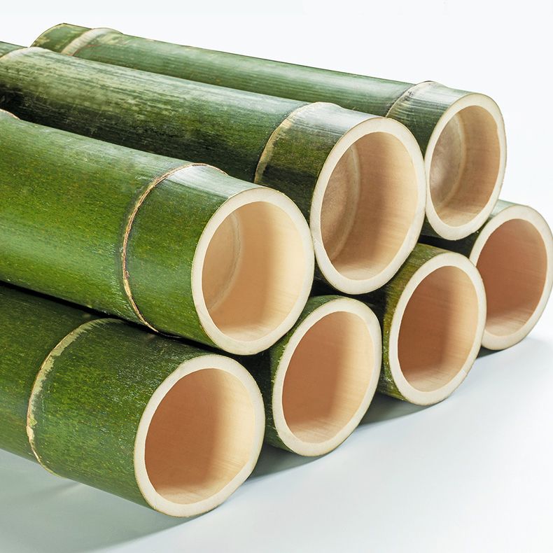 Contemporary Bamboo Accent Cabinet in White 12.6" D Chest with Glass Paned Clearhalo 'Cabinets & Chests' 'cabinets_chests' 'furn' 'furn_cabinets_chests' 'Furniture' 'Living Room Furniture' 1200x1200_3d409f5a-8780-4969-9418-53163c5ef64b