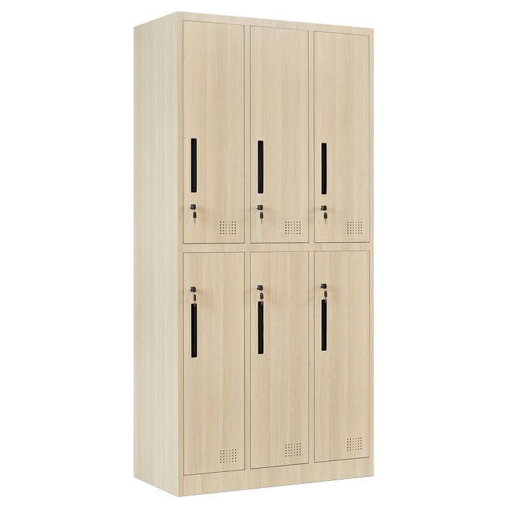 Armoire en métal moderne pour armoire à finition mate à la maison avec portes à charnière