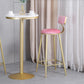 Glam Armless Backrest Counter Stool Steel Cafe Bar Stool with Velvet Cushion and Pedal Clearhalo 'Bar Furniture' 'Bar Stools' 'bar_stools' 'furn' 'furn_bar_stools' 'furniture_bar_stools' 'Kitchen & Dining Furniture' 'kitchen&dining_furn' 'kitchen' 'kitchen_furn' Furniture' 1200x1200_3e556a8b-410a-421c-8fc3-46359bff5d25