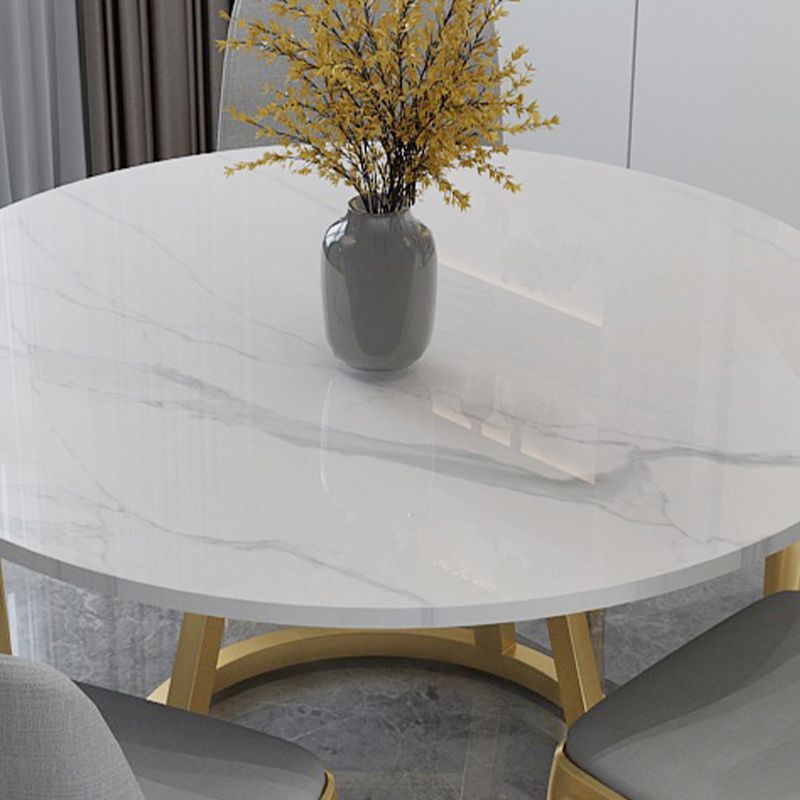 White Stone Top Dining Table Contemporary Dining Table with Pedestal Base Clearhalo 'Dining Tables & Seating' 'Dining Tables' 'dining_table' 'furn' 'furn_dining_table' 'Furniture' 'furniture_dining_table' 'Kitchen & Dining Furniture' 'kitchen' 'kitchen_dining_table' 1200x1200_3e83e2ef-bc6b-408a-8986-65addc58b2ee