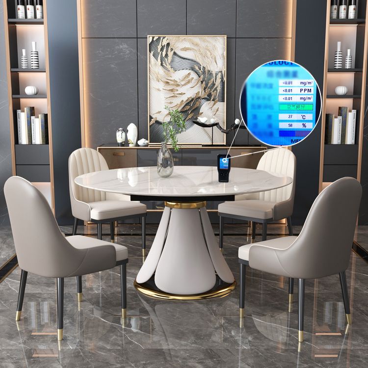 Modern Round Dining Table Sintered Stone Dining Table with Pedestal Base for Home Kitchen Dinner Clearhalo ' dining_table' 'Dining Tables & Seating' 'Dining Tables' 'furn' 'furn_dining_table' 'Furniture' 'furniture_dining_table' 'Kitchen & Dining Furniture' 'kitchen&dining_furn' 'kitchen' 'kitchen_dining_table' 1200x1200_3eb686ae-6c2d-464d-9a90-e68b09c64893