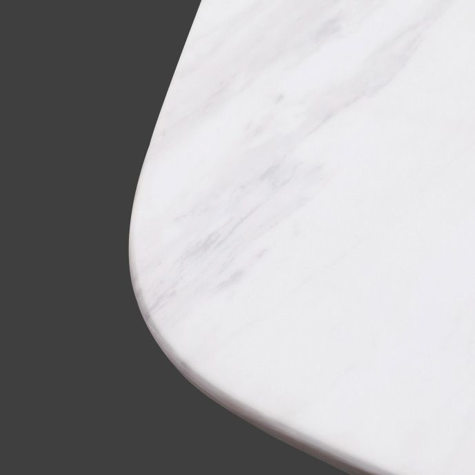 Rectangle Luxury Style Dining Table White Fixed Table with Sintered Stone Clearhalo ' dining_table' 'Dining Tables & Seating' 'Dining Tables' 'furn' 'furn_dining_table' 'Furniture' 'furniture_dining_table' 'Kitchen & Dining Furniture' 'kitchen&dining_furn' 'kitchen' 'kitchen_dining_table' 1200x1200_3f39b9a8-fed7-40ff-bd24-e8901337c7d0
