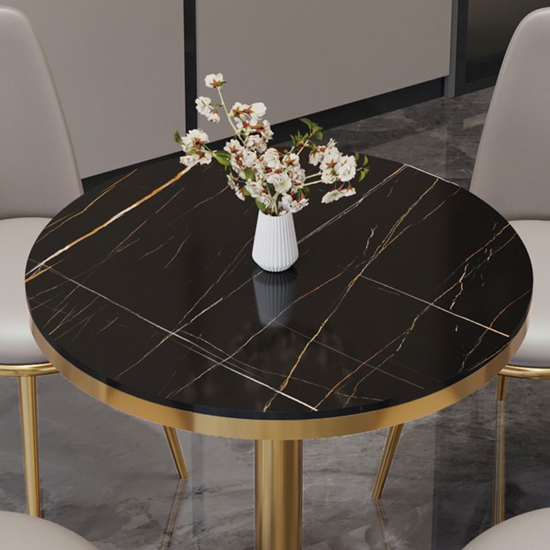 Traditional Luxury Round Dining Table Sintered Stone Dining Table with Pedestal Base Clearhalo ' dining_table' 'Dining Tables & Seating' 'Dining Tables' 'furn' 'furn_dining_table' 'Furniture' 'furniture_dining_table' 'Kitchen & Dining Furniture' 'kitchen&dining_furn' 'kitchen' 'kitchen_dining_table' 1200x1200_3f701a76-1200-4d32-b479-de2ffc8fcc7d
