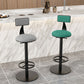 Modern Adjustable Height Bar Stools Matte Finish Indoor Stools