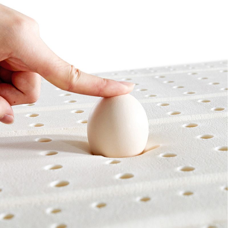 Stationary Fabric Living Room Couch Recessed Arm Standard Cushions Sofa Clearhalo 'furn' 'furn_sofas' 'Furniture' 'furniture_sofas' 'Living Room Furniture' 'Sofa' 'sofas' 1200x1200_3fc18756-abb2-488d-a0da-2a6c299b4ff7