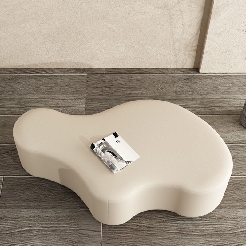 Modern Bedroom Entryway Bench Solid Wood Upholstered Seating Bench Clearhalo 'Benches' 'Chairs & Seating' 'furn' 'furn_benches' 'Furniture' 'Living Room Furniture' 1200x1200_3fc743f9-13ce-46d7-aefb-1a938e6bd349