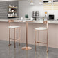 Modern Backrest Armless Counter Stool Iron Frame Bar Stool with Leather Cushion Clearhalo 'Bar Furniture' 'Bar Stools' 'bar_stools' 'furn' 'furn_bar_stools' 'Furniture' 'Kitchen & Dining Furniture' 1200x1200_4042fd88-dab9-4c20-b61d-c9ebd2266b72