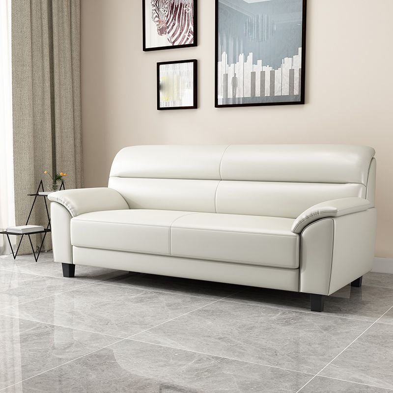 Contemporary Pillow Top Arm Sofa Single Cushion Seat for Living Room Clearhalo 'furn' 'furn_sofas' 'Furniture' 'furniture_sofas' 'Living Room Furniture' 'Sofa' 'sofas' 1200x1200_4045d2cd-f610-4d59-8c63-2e6e7f35760d