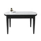 Contemporary Style 53'' Dining Table 4 Legs Dining Site Table with Drop-Leaf Clearhalo ' dining_table' 'Dining Tables & Seating' 'Dining Tables' 'furn' 'furn_dining_table' 'Furniture' 'furniture_dining_table' 'Kitchen & Dining Furniture' 'kitchen&dining_furn' 'kitchen' 'kitchen_dining_table' 1200x1200_404f0b54-0d87-4a4c-a42b-009dc1c0540d