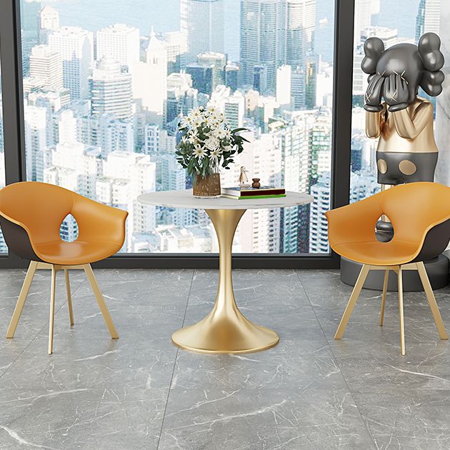 Round Sintered Stone Dining Table Traditional Luxury Tulip Table Clearhalo 'Dining Tables & Seating' 'Dining Tables' 'dining_table' 'furn' 'furn_dining_table' 'Furniture' 'furniture_dining_table' 'Kitchen & Dining Furniture' 'kitchen' 'kitchen_dining_table' 1200x1200_40692920-c100-4b9e-a738-e8dc393b948c