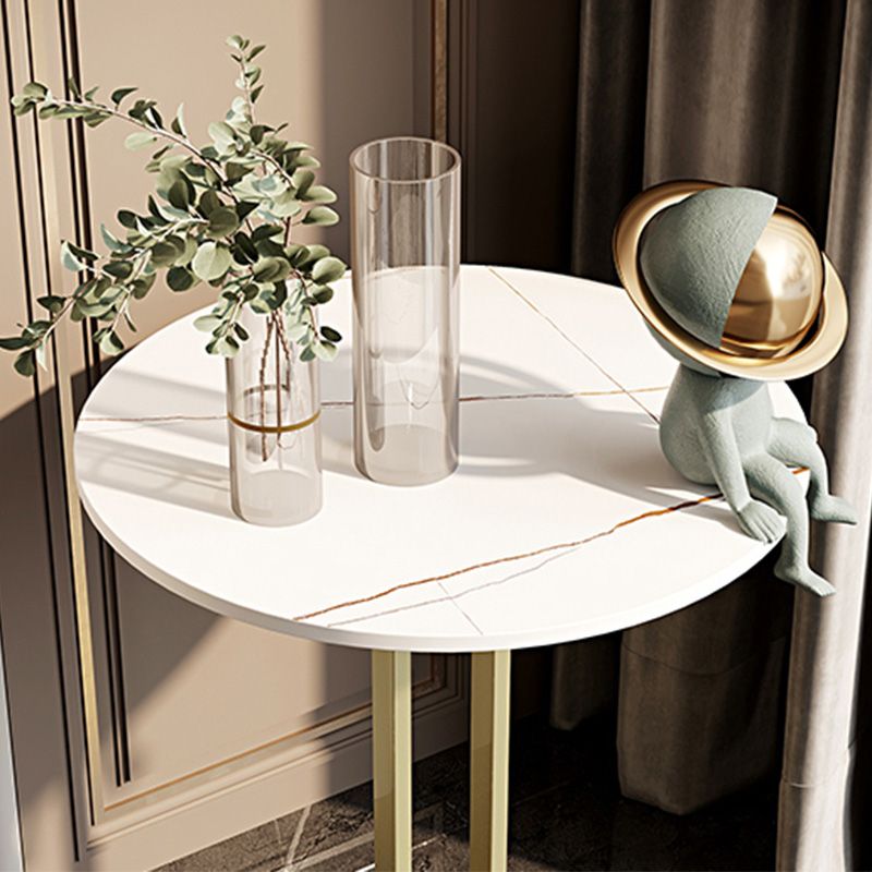 Modern Marble Top End Table Pedestal Round Sofa Side End Table for Living Room Clearhalo 'Coffee & Accent Tables' 'End & Side Tables' 'end_side_table' 'end_side_tables' 'furn' 'furn_end_side_tables' 'Furniture' 'furniture_end_side_table' 'Living Room Furniture' 1200x1200_40c6a0be-7379-4b4e-a381-44fb8c57421b