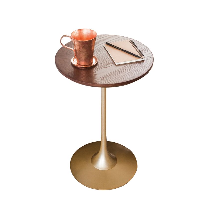 Pedestal Metal End Table Black/ Brown Round Wood Side End Table Clearhalo 'Coffee & Accent Tables' 'End & Side Tables' 'end_side_table' 'end_side_tables' 'furn' 'furn_end_side_tables' 'Furniture' 'furniture_end_side_table' 'Living Room Furniture' 1200x1200_40f6c93d-7ef8-4906-8912-f93736e4099a