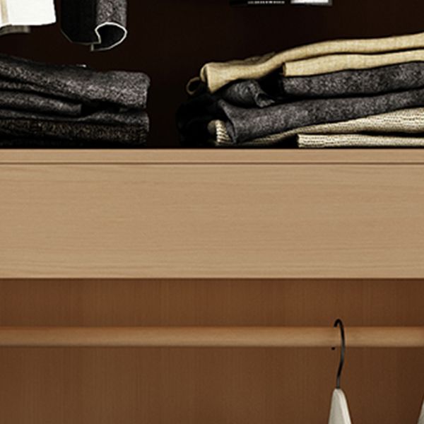 Engineered Wood Wardrobe Closet with Drawer Modern Wardrobe Cabinet Clearhalo 'Armoires & Wardrobes' 'armoires_wardrobes' 'Bedroom Furniture' 'furn' 'furn_armoires_wardrobes' 'Furniture' 1200x1200_41407207-65d2-4121-82a9-c05e2deb17fa