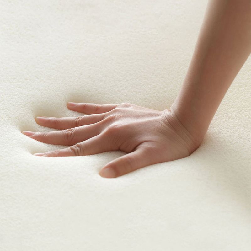 Contemporary 31.49 "sedia a spugna di spugna fissata di colore solido.