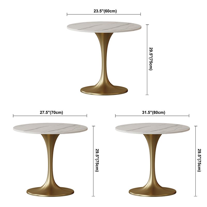 Round Tulip Base Home Furniture Traditional Luxury Stone Dining Room Collection Clearhalo ' dining_table' 'Dining Tables & Seating' 'Dining Tables' 'furn' 'furn_dining_table' 'Furniture' 'furniture_dining_table' 'Kitchen & Dining Furniture' 'kitchen&dining_furn' 'kitchen' 'kitchen_dining_table' 1200x1200_4198093d-89df-41a7-8dcc-1413970cb8ba