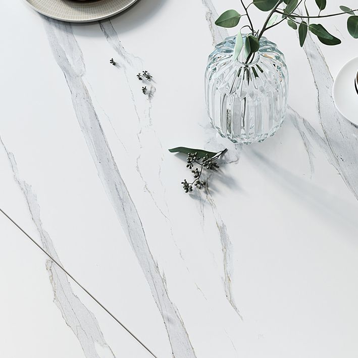 Modern Sintered Stone Dining Room Set with Black Base Dining Furniture for Home Use Clearhalo 'Dining Room Sets' 'Dining Tables & Seating' 'dining_room_set' 'furn' 'furn_dining_room_set' 'Furniture' 'furniture_dining_room_set' 'Kitchen & Dining Furniture' 'kitchen&dining_furn' 'kitchen' 1200x1200_42036ae2-a28b-4520-bae1-02bbee9f0d4a