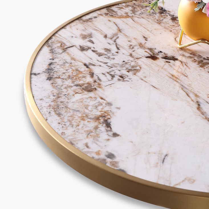 Round Stone Dining Table Traditional Luxury Dining Room Collection with Pedestal Base Clearhalo ' dining_table' 'Dining Tables & Seating' 'Dining Tables' 'furn' 'furn_dining_table' 'Furniture' 'furniture_dining_table' 'Kitchen & Dining Furniture' 'kitchen&dining_furn' 'kitchen' 'kitchen_dining_table' 1200x1200_421e00a2-3f6a-42ca-a7b0-d08e6df0769c
