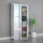 Chrome Steel Cabinet with Hinged Doors Modern Storage Cabinet for Bathroom