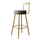Glam Armless Backrest Counter Stool Iron Kitchen Bar Stool with Cushion and Pedal Clearhalo 'Bar Furniture' 'Bar Stools' 'bar_stools' 'furn' 'furn_bar_stools' 'furniture_bar_stools' 'Kitchen & Dining Furniture' 'kitchen&dining_furn' 'kitchen' 'kitchen_furn' Furniture' 1200x1200_42444102-350c-409a-8717-87fad5f002d9
