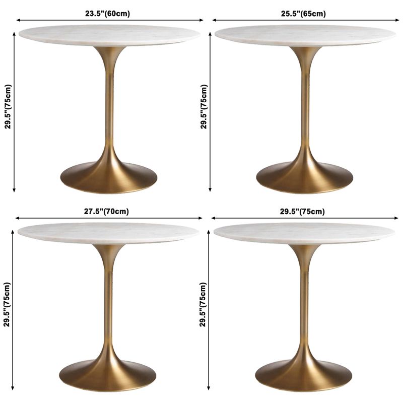 Round Tulip Base Glam Dining Table White Fixed Table with Sintered Stone Clearhalo ' dining_table' 'Dining Tables & Seating' 'Dining Tables' 'furn' 'furn_dining_table' 'Furniture' 'furniture_dining_table' 'Kitchen & Dining Furniture' 'kitchen&dining_furn' 'kitchen' 'kitchen_dining_table' 1200x1200_4255ca16-301c-4f44-8a09-454f9695ed8e