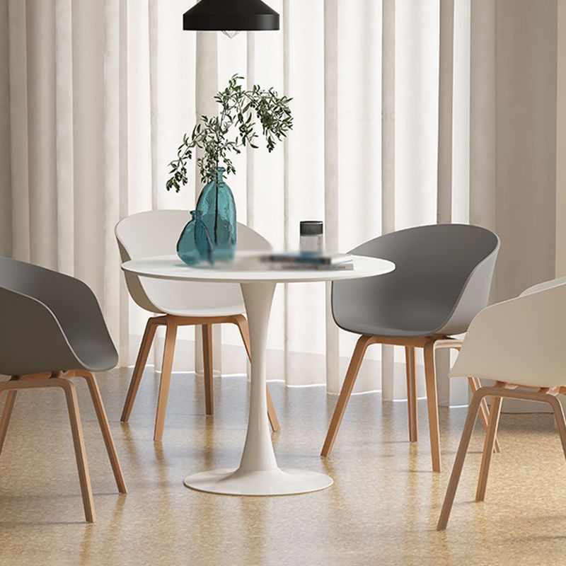Contemporary Style Dining Room Chairs Kitchen Arm Chairs with Wooden Legs Clearhalo ' kitchen&dining_furn' 'Dining Chairs' 'Dining Tables & Seating' 'dining_chair' 'Furniture' 'furniture_dining_chair' 'Kitchen & Dining Furniture' 'kitchen' 1200x1200_426642de-61ef-418a-be28-45a5385fc35c
