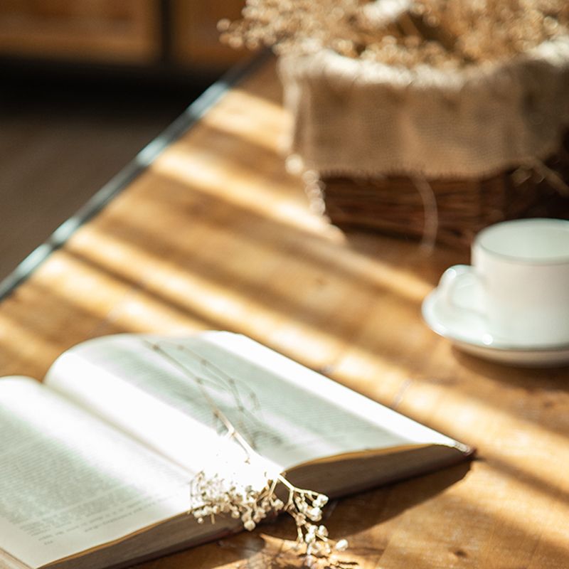 Modern Metal Display Stand Glass Doors Display Cabinet with Door for Living Room Clearhalo 'Display & China Cabinets' 'display_china_cabinets' 'furn' 'furn_display_china_cabinets' 'Furniture' 'Kitchen & Dining Furniture' 1200x1200_4274dcc7-407c-426a-a651-77fe4472c632