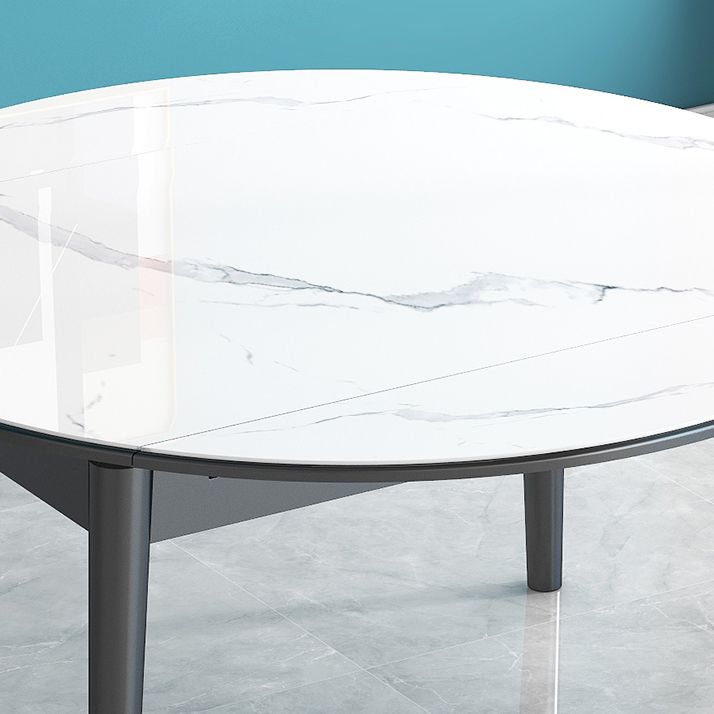 Modern Style Sintered Stone Dining Table Round Drop-Leaf Table with Wooden Base Clearhalo ' dining_table' 'Dining Tables & Seating' 'Dining Tables' 'furn' 'furn_dining_table' 'Furniture' 'furniture_dining_table' 'Kitchen & Dining Furniture' 'kitchen&dining_furn' 'kitchen' 'kitchen_dining_table' 1200x1200_42c03cc5-490f-48fc-bf4d-237159704729
