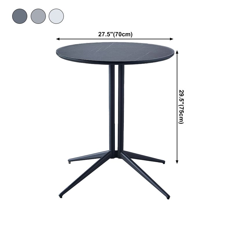 Metal Contemporary Round Dining Table Wood Top Indoor Table with Pedestal Base Clearhalo ' dining_table' 'Dining Tables & Seating' 'Dining Tables' 'furn' 'furn_dining_table' 'Furniture' 'furniture_dining_table' 'Kitchen & Dining Furniture' 'kitchen&dining_furn' 'kitchen' 'kitchen_dining_table' 1200x1200_42f5593d-b7bd-446f-86f8-fbab9b610d3e