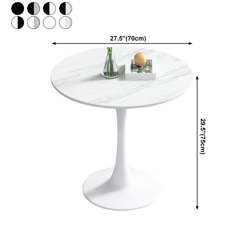 Simplicity Round Dining Room Table Sintered Stone Table with Tulip Base Clearhalo ' dining_table' 'Dining Tables & Seating' 'Dining Tables' 'furn' 'furn_dining_table' 'Furniture' 'furniture_dining_table' 'Kitchen & Dining Furniture' 'kitchen&dining_furn' 'kitchen' 'kitchen_dining_table' 1200x1200_434bc516-da0c-4d16-bfa8-3cce29612041