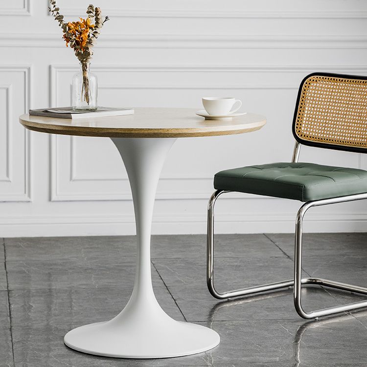 Modern Round Wood Dining Table Tulip Base Home Kitchen Dinner Dining Table Clearhalo 'Dining Tables & Seating' 'Dining Tables' 'dining_table' 'furn' 'furn_dining_table' 'Furniture' 'furniture_dining_table' 'Kitchen & Dining Furniture' 'kitchen' 'kitchen_dining_table' 1200x1200_43b2beb3-fed9-4e45-b6ad-afdb67e4a660