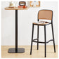 Contemporary Bar-stool Plastic Counter Bar Stool with Plastic Legs for Kitchen Clearhalo 'Bar Furniture' 'Bar Stools' 'bar_stools' 'Furniture' 'furniture_bar_stools' 'Kitchen & Dining Furniture' 1200x1200_43dffa1c-d88c-43a3-93f1-6cf936af6497