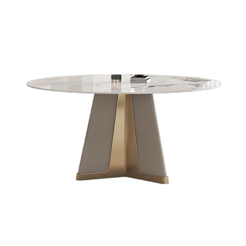 Modern Round Dinner Table Steel Base Stone Dining Table for Home Clearhalo 'Dining Tables & Seating' 'Dining Tables' 'dining_table' 'furn' 'furn_dining_table' 'Furniture' 'Kitchen & Dining Furniture' 1200x1200_43e1999a-8ef1-4603-9d03-b3d8a937e798