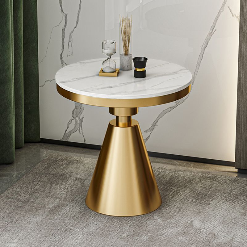 Modern Style Sintered Stone Dining Table Round Table with Pedestal Base Clearhalo ' dining_table' 'Dining Tables & Seating' 'Dining Tables' 'furn' 'furn_dining_table' 'Furniture' 'furniture_dining_table' 'Kitchen & Dining Furniture' 'kitchen&dining_furn' 'kitchen' 'kitchen_dining_table' 1200x1200_4416dbbc-5263-4d2c-b795-fd0388c9cfb3