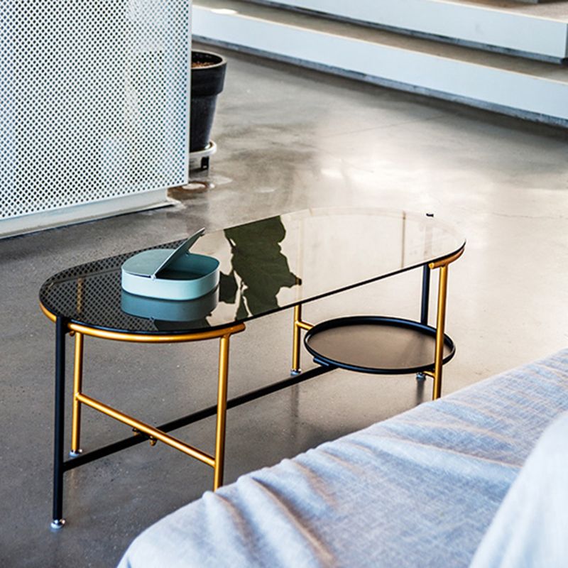 Modernism Elliptical Glass Top Coffee Cocktail Table with Shelf Clearhalo 'Coffee & Accent Tables' 'Coffee Tables' 'coffee_tables' 'furn' 'furn_coffee_tables' 'Furniture' 'Living Room Furniture' 1200x1200_44184e12-4c45-44ce-8190-b76e1a809670